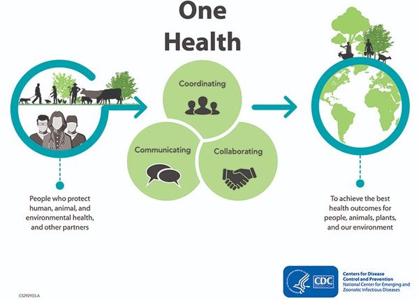 𝐃𝐢́𝐚 𝐌𝐮𝐧𝐝𝐢𝐚𝐥 𝐝𝐞 𝐥𝐚𝐬 𝐙𝐨𝐨𝐧𝐨𝐬𝐢𝐬‧ 𝐄𝐧𝐭𝐫𝐞 𝐓𝐨𝐝𝐨𝐬 𝐩𝐨𝐫 𝐔𝐧𝐚 𝐒𝐚𝐥𝐮𝐝